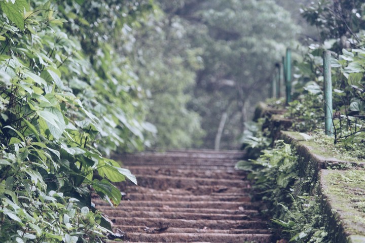 steps