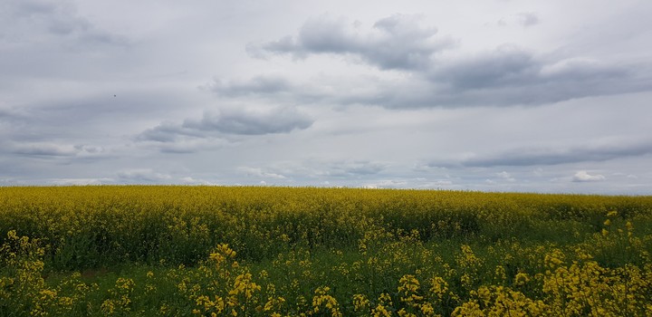sky