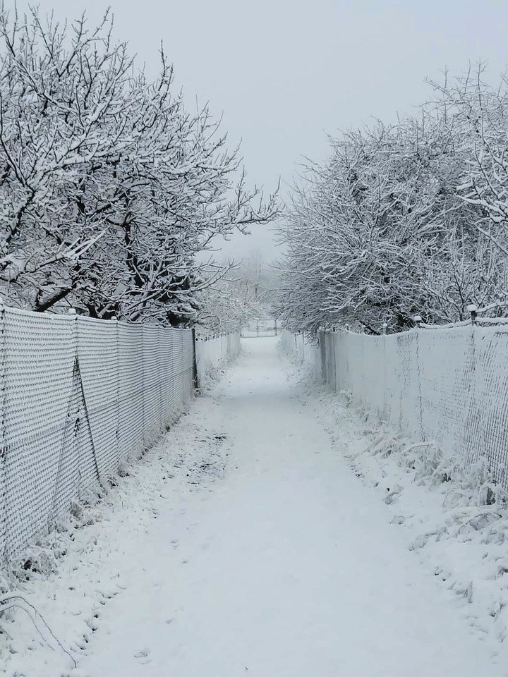 Winter snow winter_way white