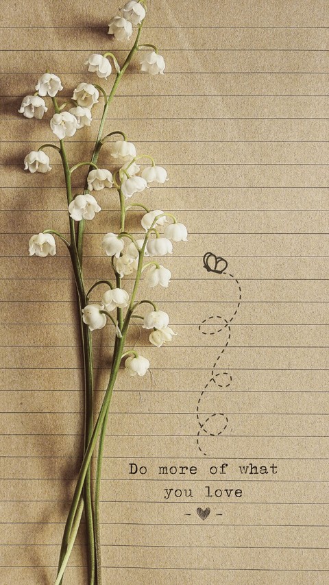 fondos de pantalla lovely, cool