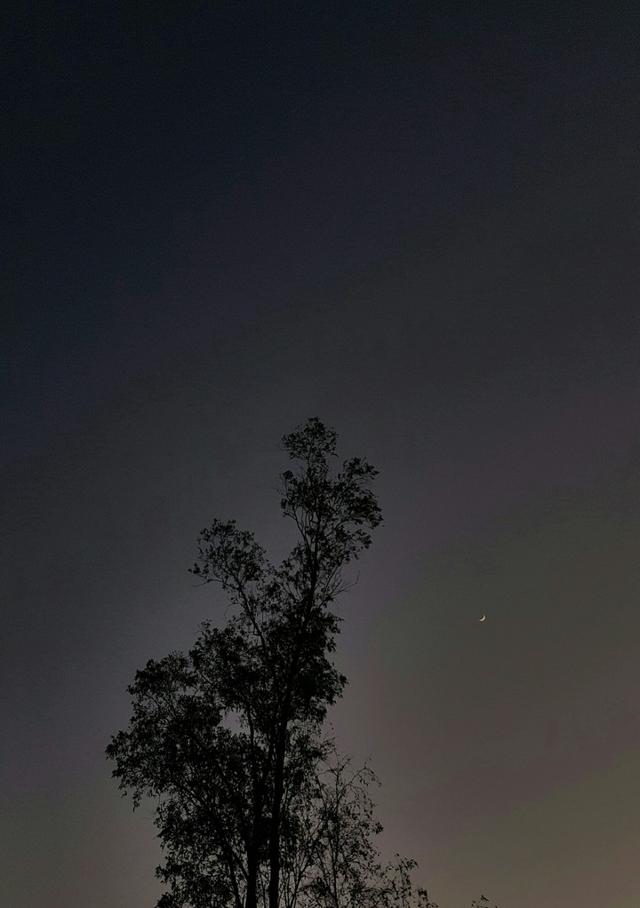 Night