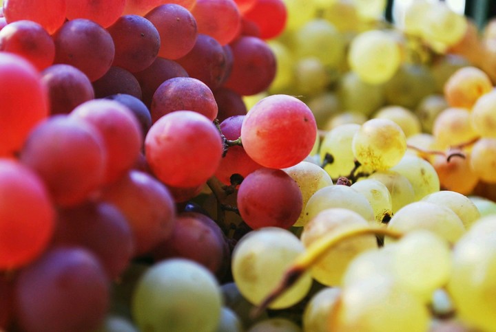 fruit#grapes