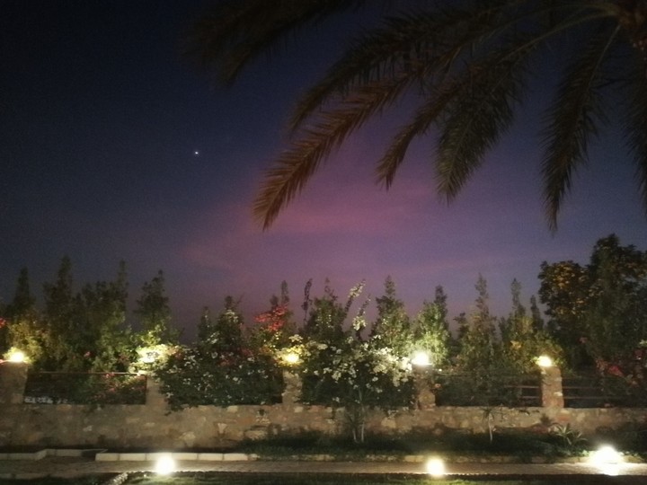 Evening
