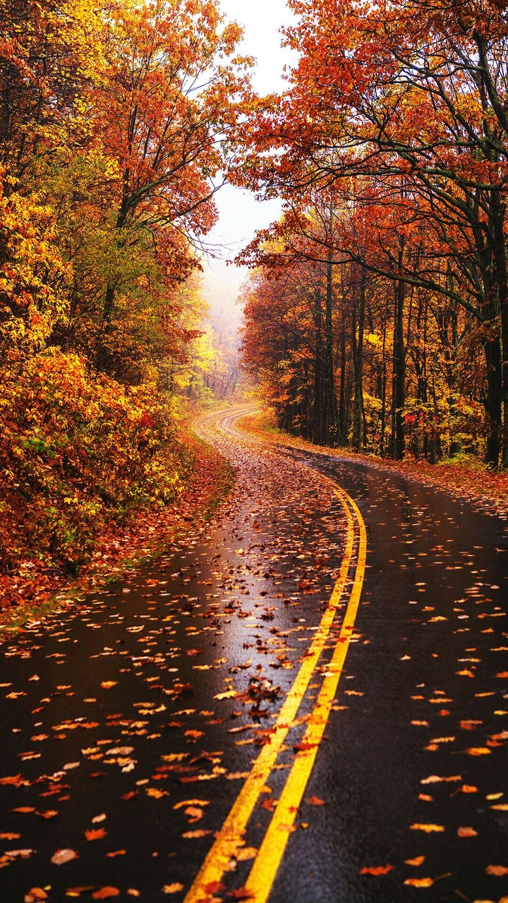 Autumn now...))
