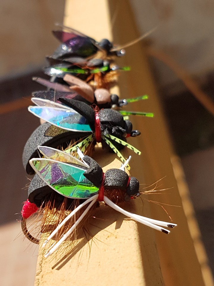 bugs