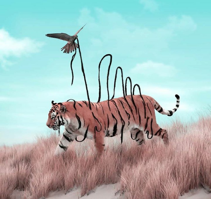 fantasy  art pics of animals ❤