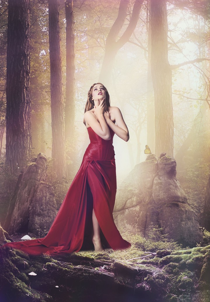 enchanted forest