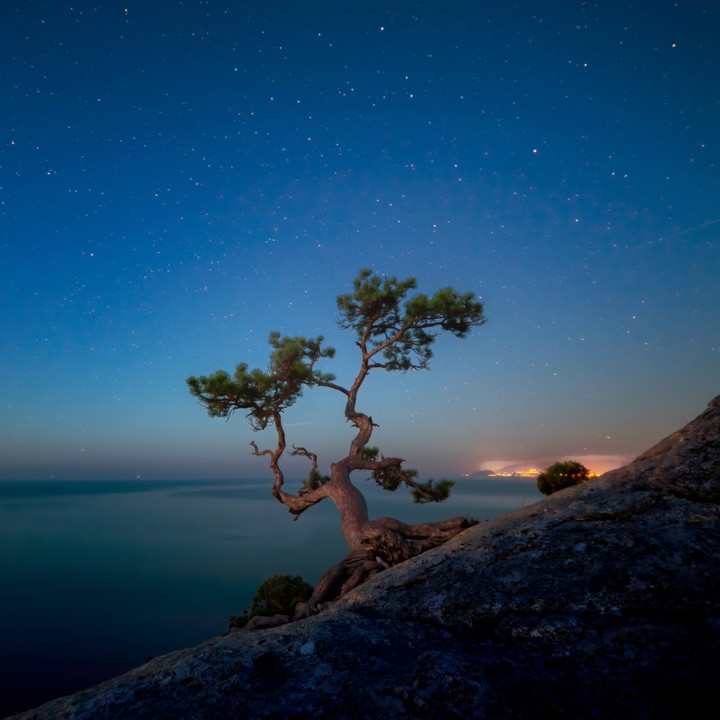 #night