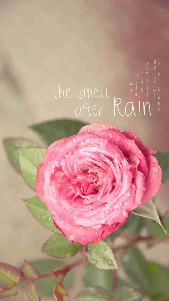 the smell after rain