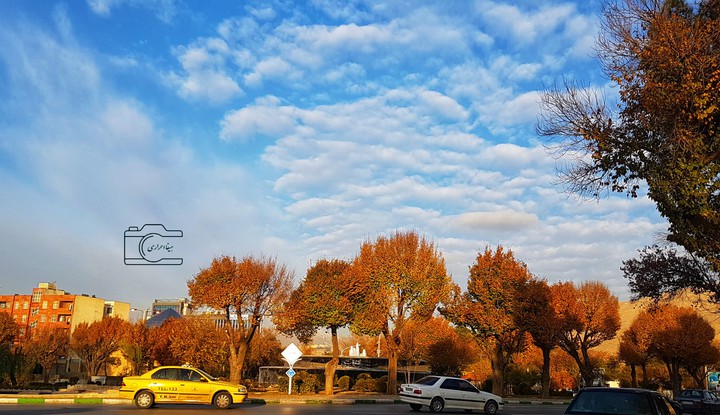 autumn