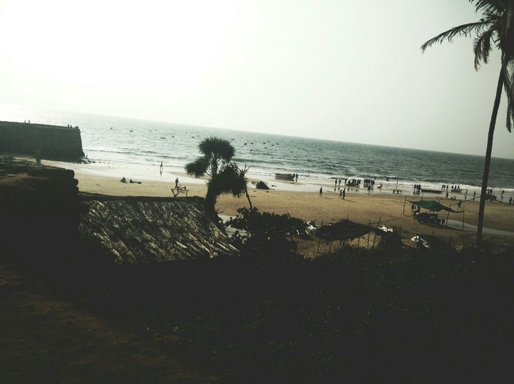 nature
