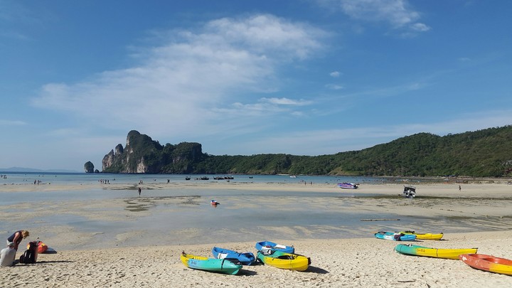 tai phiphi