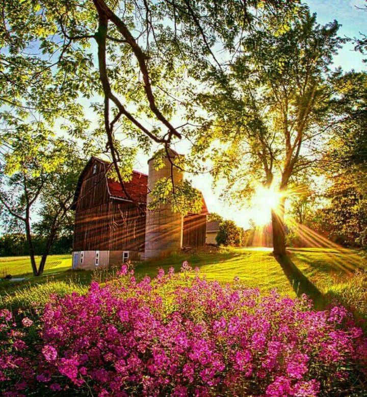 Beautiful home