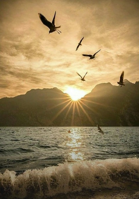 生态区, sky壁纸