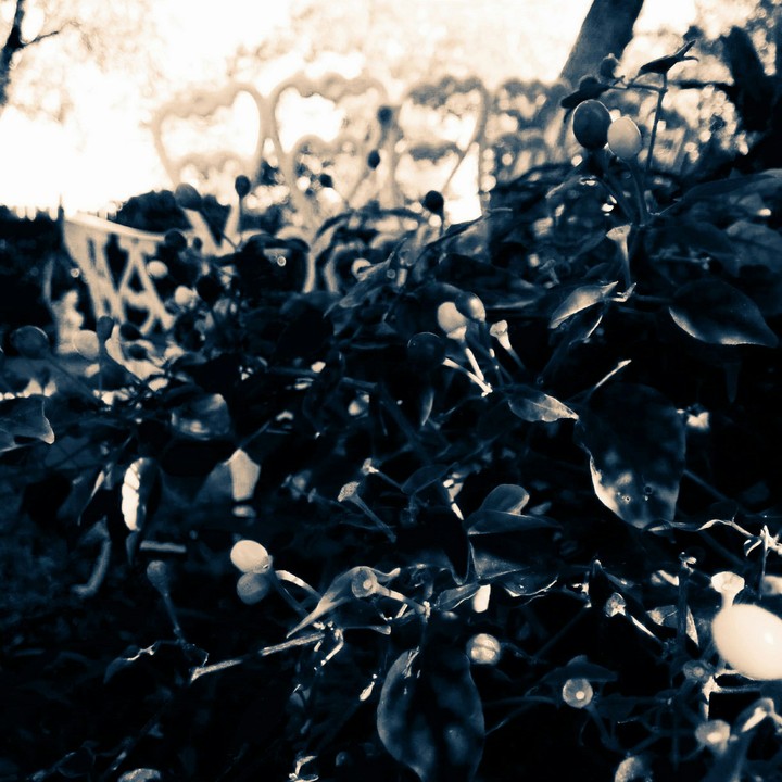 Mystery