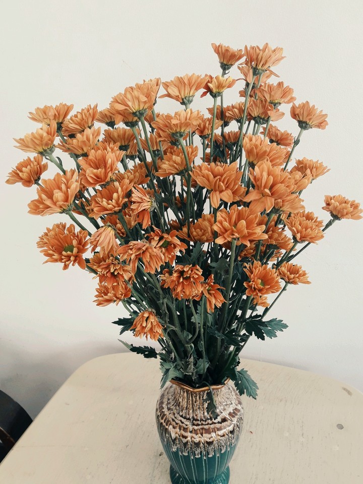 flower lover
