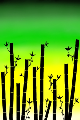 bamboo