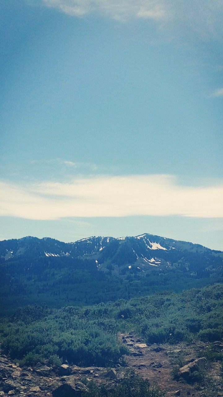 Nature