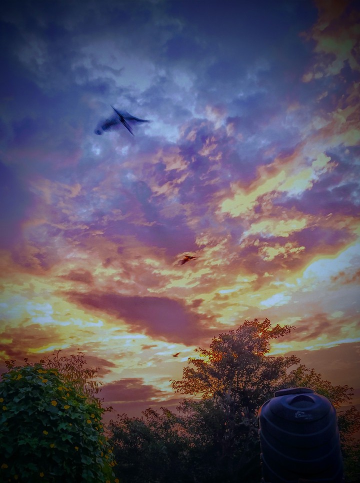 sun rise