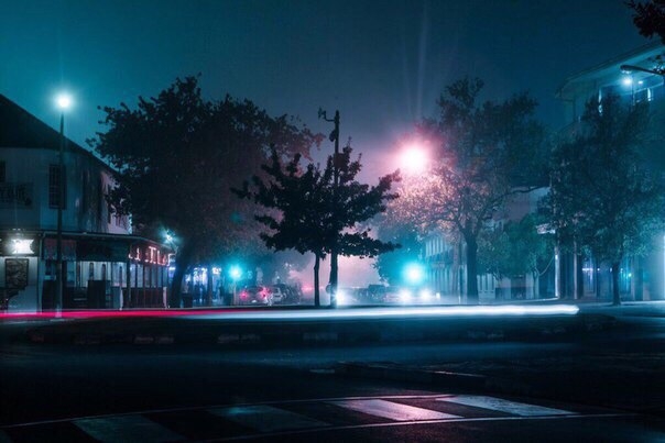 деревья