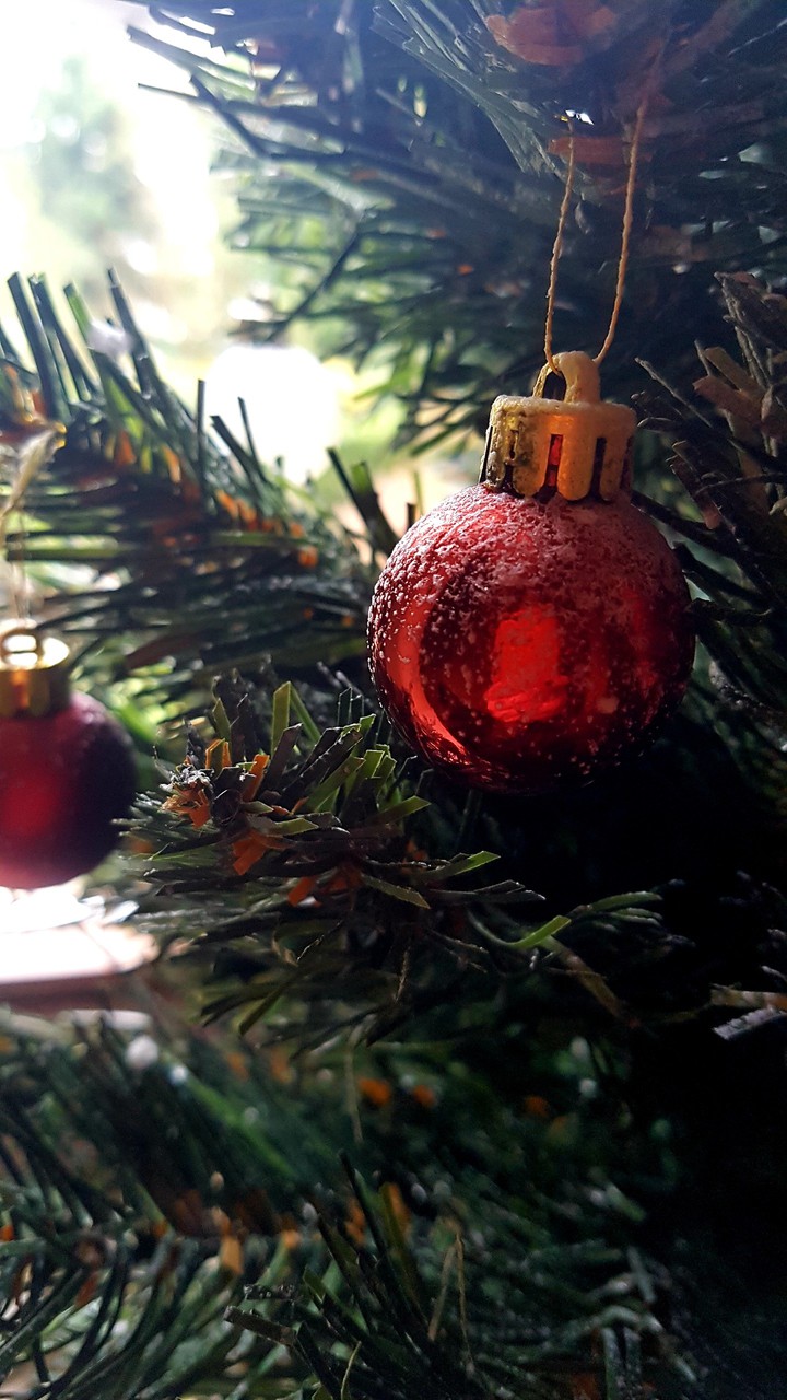 Happy Chrismas!!