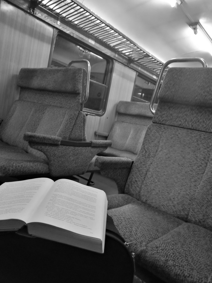 Book in train