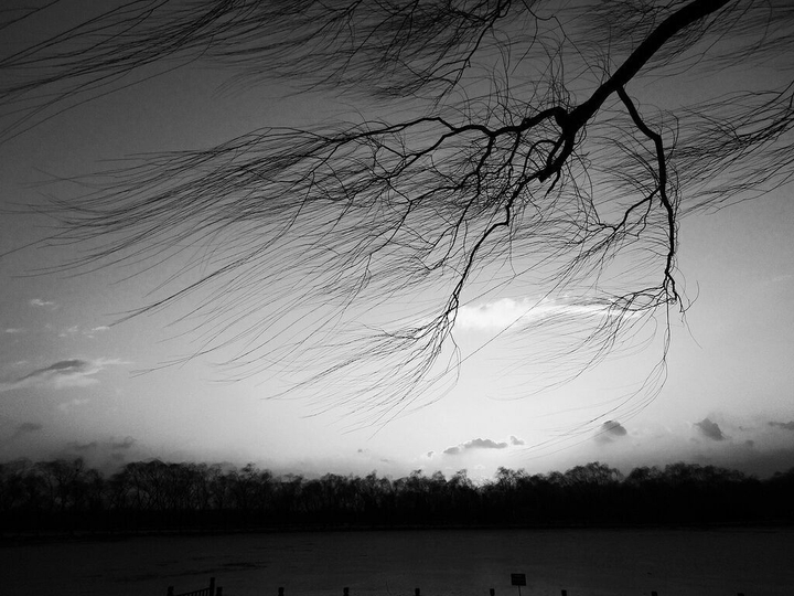 dark