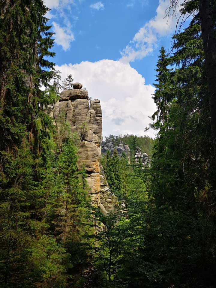 ardspach