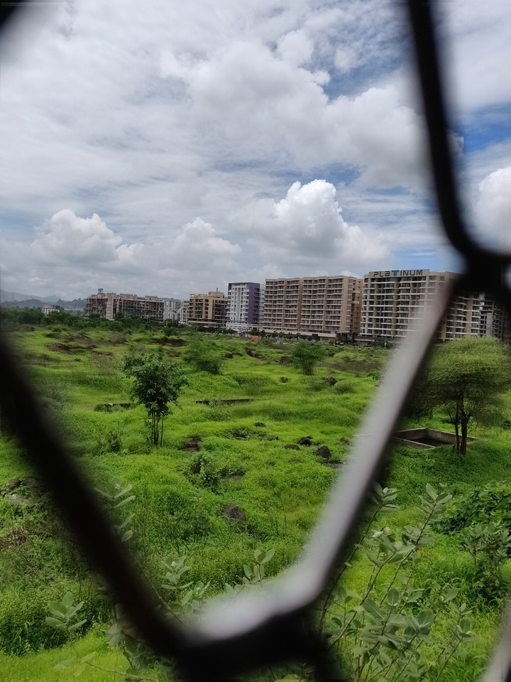Train view