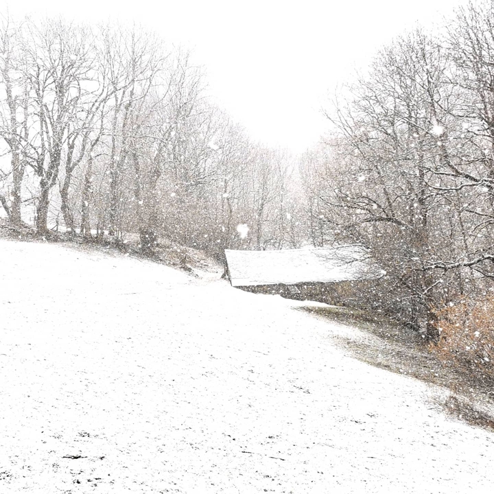 Hivernale