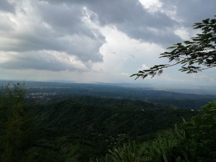 Nature