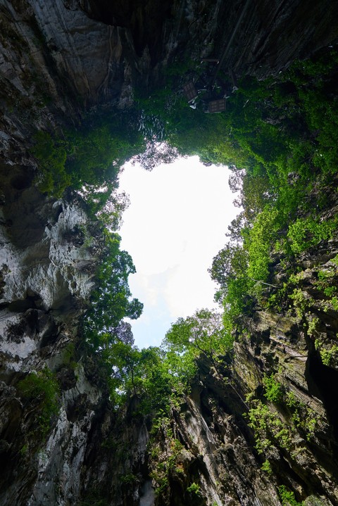rainforest, cave वॉलपेपर