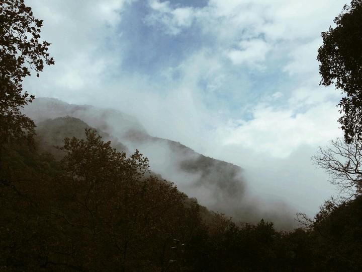 neblina