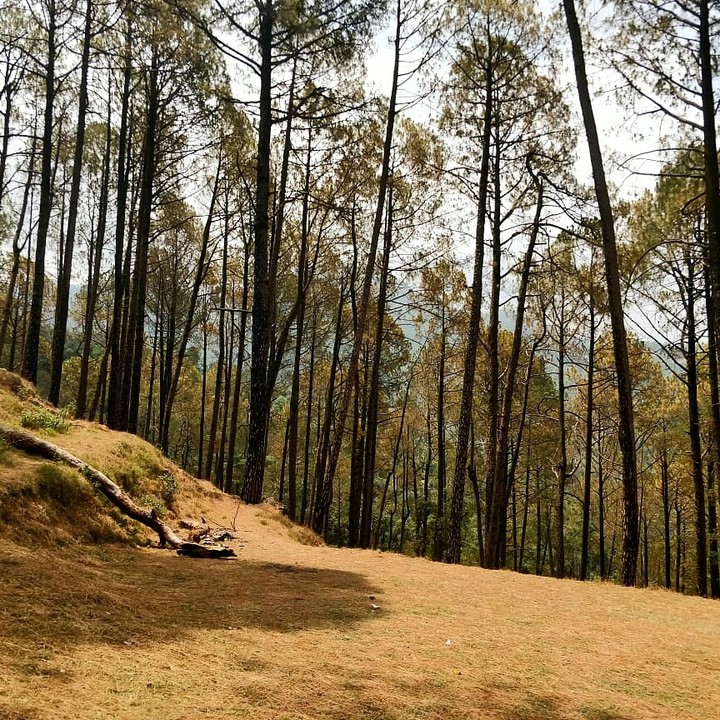 trek day vibes.