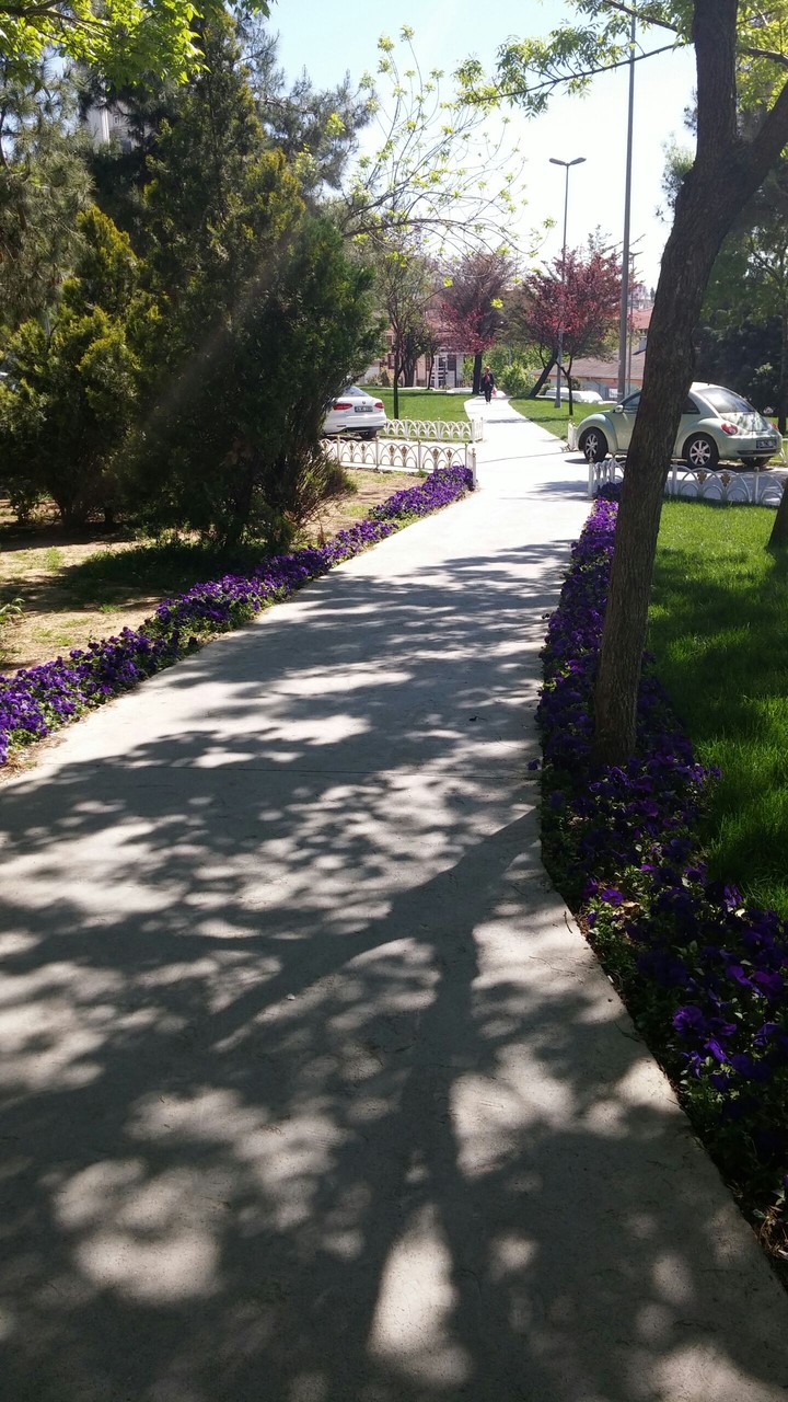 walk tree