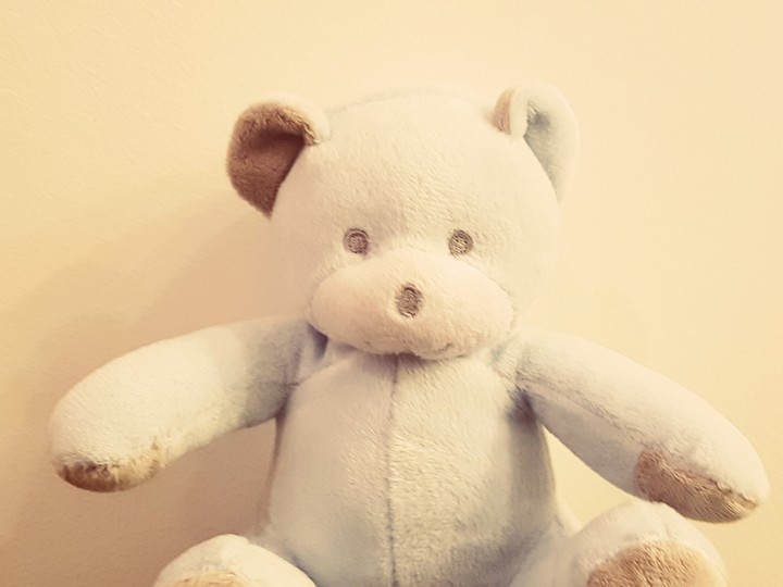 teddy