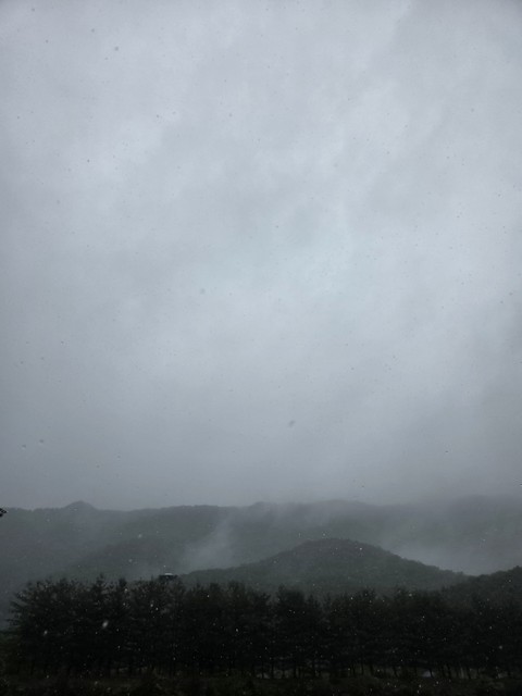 mist, fog Hintergrundbilder