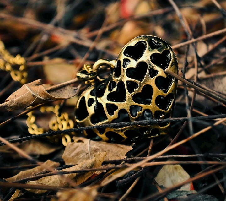 heart