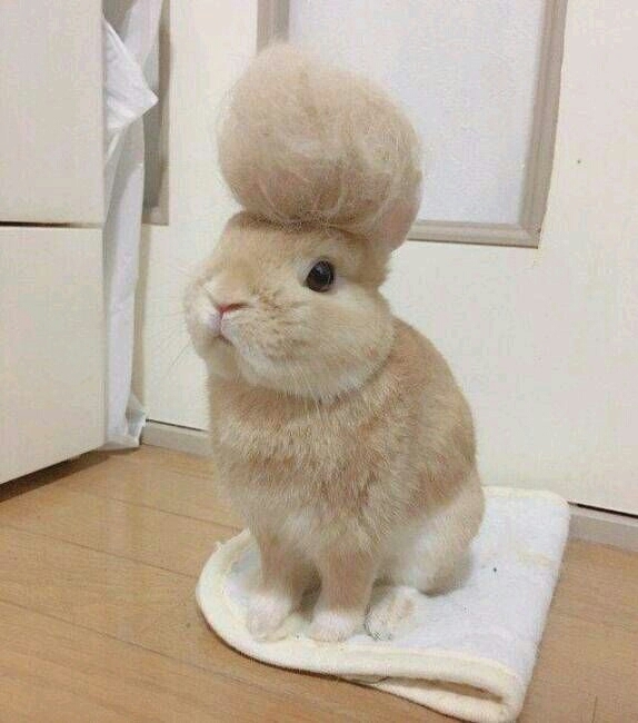 Awwww