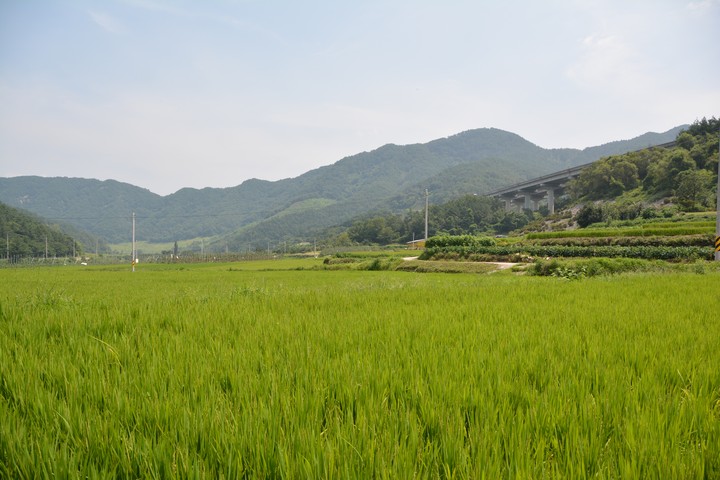 풍경이미지