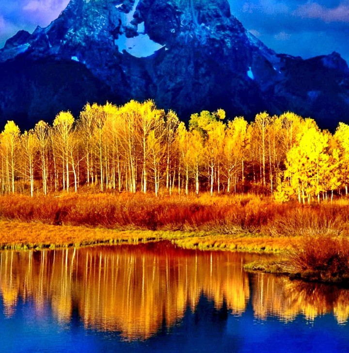 Beauty of