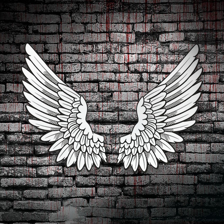 please use wings and show for photo for different colours