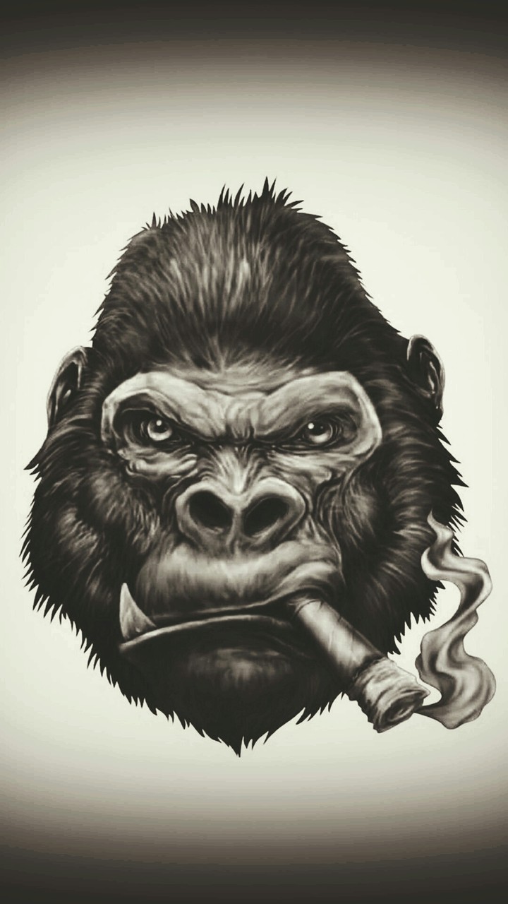 monkey cigarette