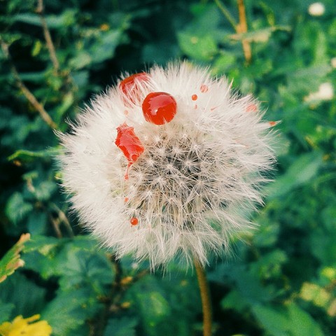 Beautiful
