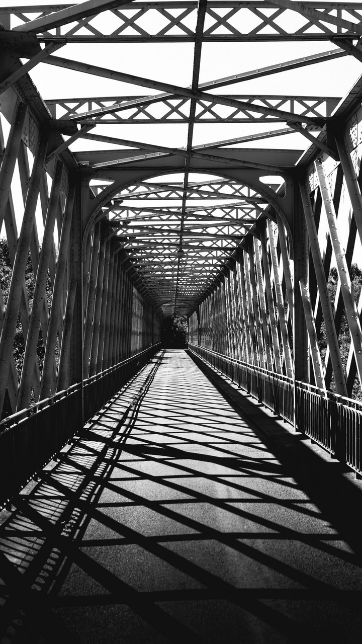 In Monotone