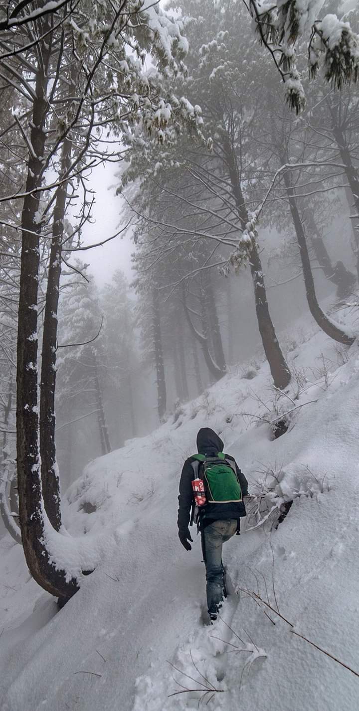 NATHIYA GALI ABBOATABAD.PAKISTAN?