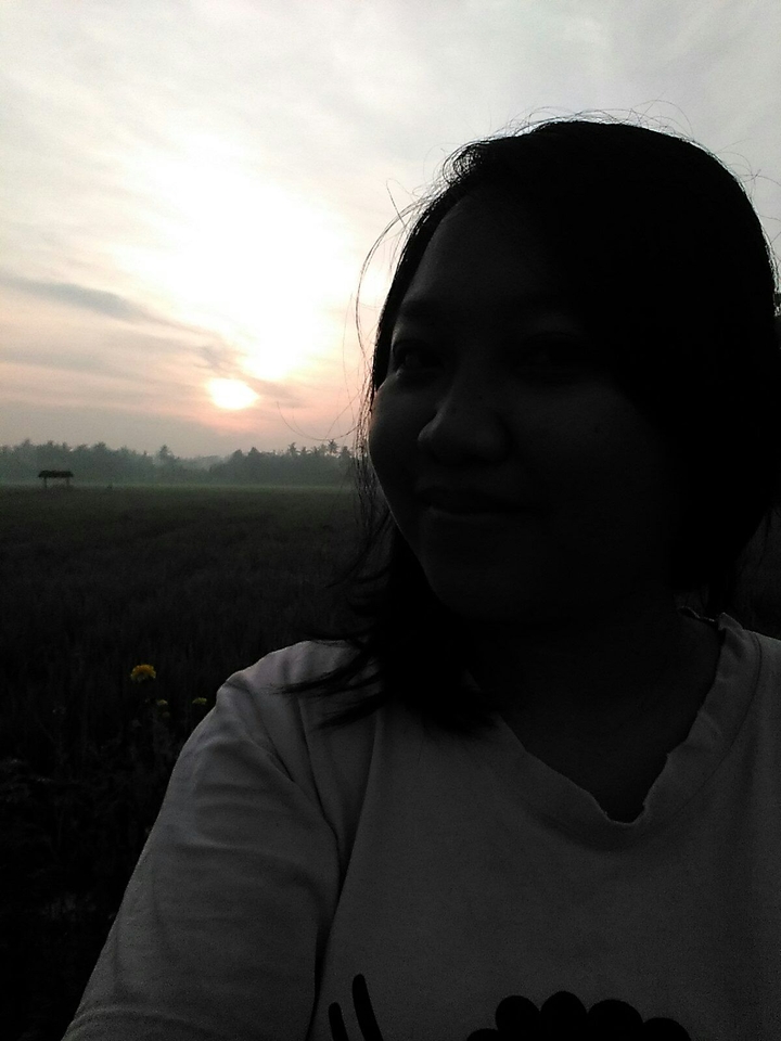 hello sun