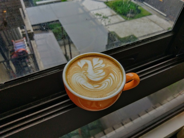 Raining day with swan.