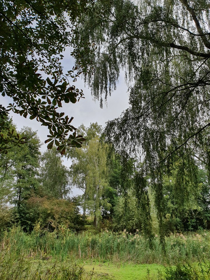 Nature in  Berlin