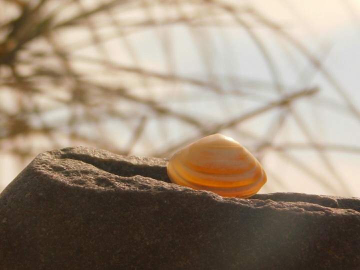 Rest on the beach